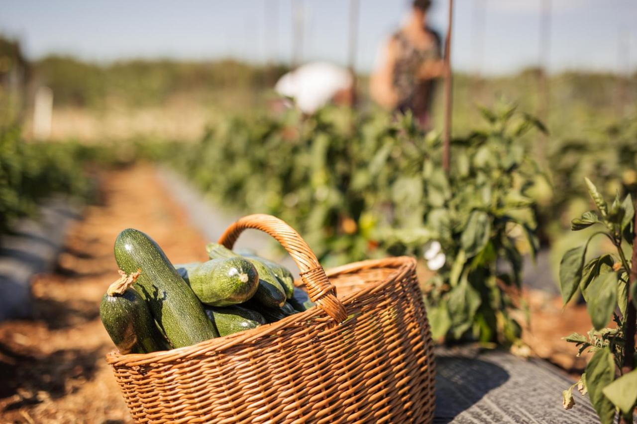 Bed&Breakfast Agroturizam Antunovic Kuna Pelješka Esterno foto